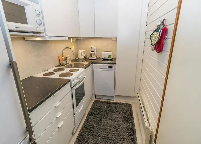 Saariselaen Vaeaertin Kammi 2 By Interhome * Saariselka